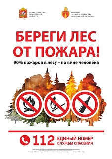 На территории Одинцовского округа с 4 мая вводится особый противопожарный режим