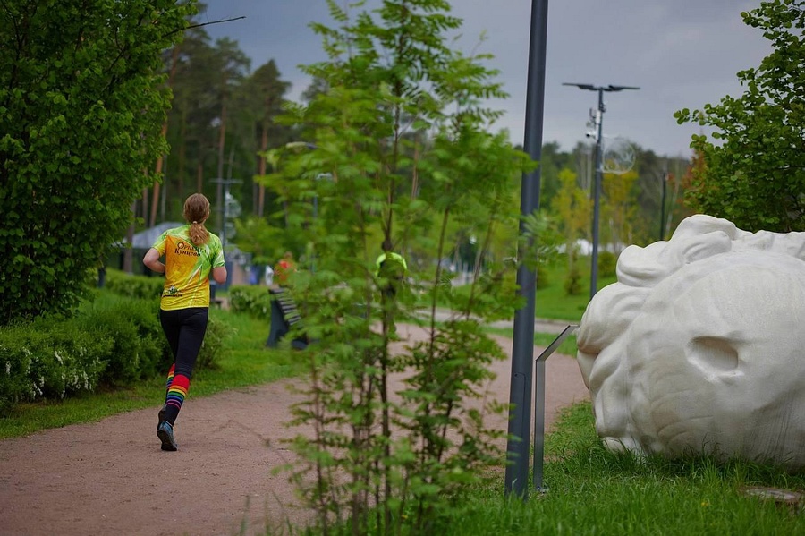 В одинцовском парке Малевича 19 мая пройдут соревнования по спортивному ориентированию