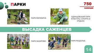 В Одинцовском округе подвели итоги акции «День добрых дел», которая прошла на территории муниципалитета 27 апреля. Всего в акции приняли участие более 65 тысяч человек — это обучающиеся округа и их родители. Как отметил глава Одинцовского округа Андрей Иванов, несмотря на дождливую погоду акция стала рекордной по своим масштабам