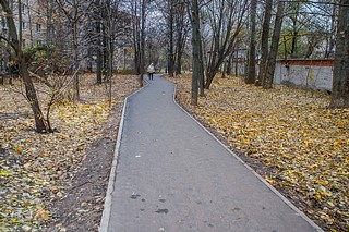 В 2024 году в Одинцовском городском округе благоустроят 32 народные тропы