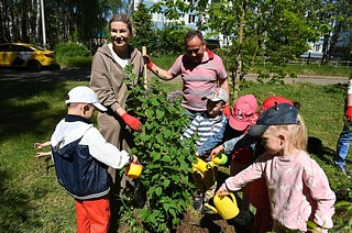 В Одинцовском округе на аллее «Маленькие герои большой войны» высадили 300 саженцев деревьев