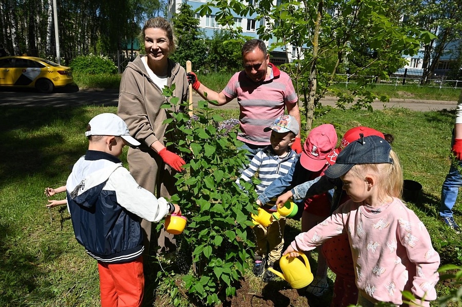 XfX rjO lzw, В Одинцовском округе на аллее «Маленькие герои большой войны» высадили 300 саженцев деревьев