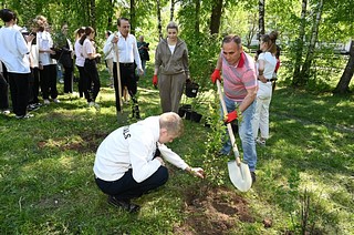 В Одинцовском округе на аллее «Маленькие герои большой войны» высадили 300 саженцев деревьев