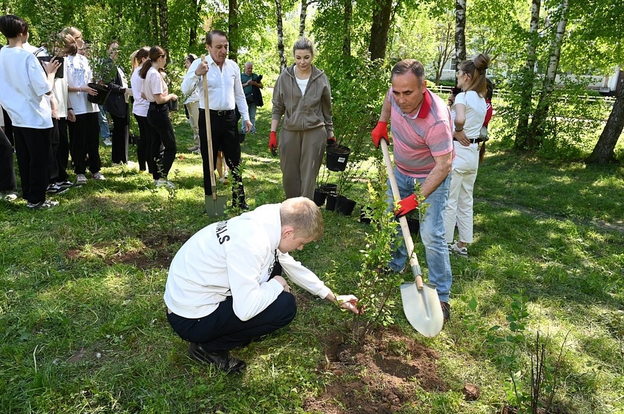 В Одинцовском округе на аллее «Маленькие герои большой войны» высадили 300 саженцев деревьев