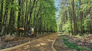В Звенигороде началось благоустройство Супоневского лесопарка. Его проведут в рамках программы «Парки в лесу»
