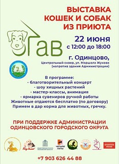 В Одинцовском округе 22 июня пройдёт выставка животных из приютов