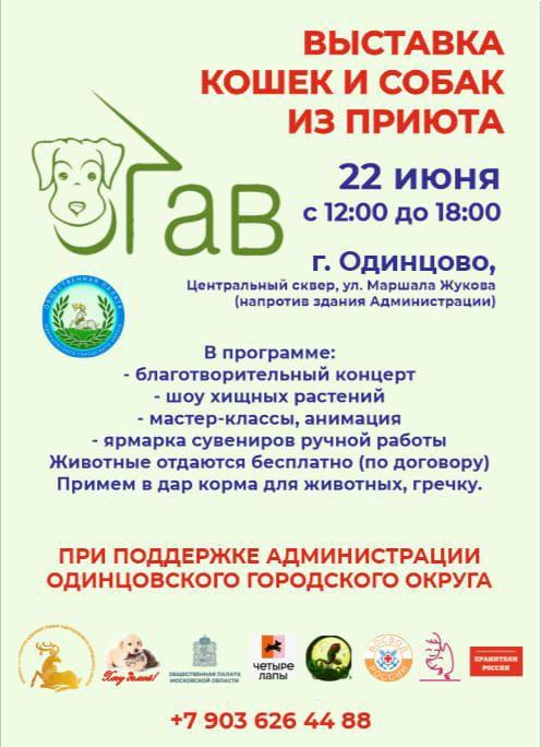 В Одинцовском округе 22 июня пройдёт выставка животных из приютов, Июнь