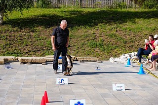 В Звенигороде 22 июня отметили День кинолога. Специалисты по разным дисциплинам рассказали и показали работу своих подопечных, а также ответили на вопросы гостей. Посетители мероприятия узнали на встрече, что кинолог — очень увлекательная, многогранная профессия, востребованная в наши дни. Её представители занимаются не только дрессировкой собак для спецслужб, но и помогают хозяевам городских собак сделать их жизнь комфортной и безопасной