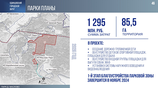 Четыре новых современных парка за последние 5 лет появилось в Одинцовском округе. Самые известные из них — это парки «Раздолье» и «Малевича». А также небольшие парки «Немчиновский» и «Виражи». Об этом сообщил глава муниципалитета Андрей Иванов в своем отчете перед окружным Советом депутатов