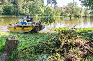 Пруд на притоке реки Ликова в Одинцовском округе очистят в рамках программы губернатора «100 прудов и озёр»