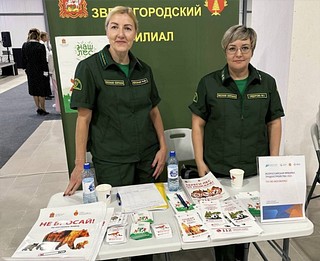 Сотрудники Звенигородского лесничества приняли участие во Всероссийской ярмарке трудоустройства в Одинцово