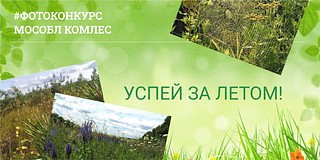 Жителей Одинцовского округа приглашают принять участие в фотоконкурсе «Успей за летом»