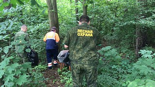 В Одинцовском округе вблизи поселка Усово-Тупик прошел субботник