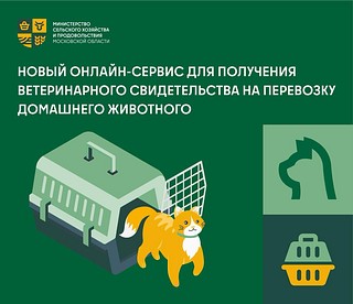 Жители Одинцовского округа могут оформить документ на перевозку животных онлайн