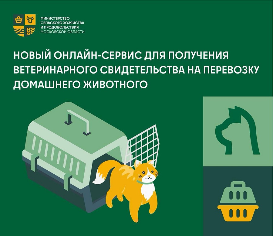 Жители Одинцовского округа могут оформить документ на перевозку животных онлайн