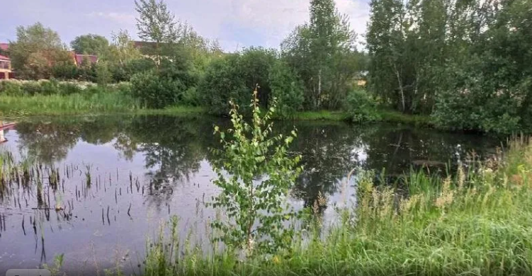 В Одинцовском округе ликвидировали пересечение частного земельного участка с водоохранной зоной реки Малая Вязёмка, Июль