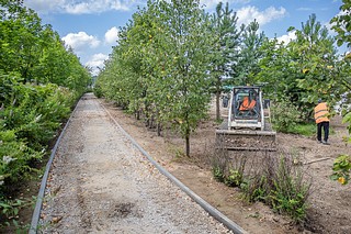 Глава Одинцовского округа Андрей Иванов, депутат окружного Совета депутатов Владимир Виницкий и директор Одинцовского МЦУР Елена Меньшикова проверили ход обустройства спортивной зоны в парке Захарово. Строительная готовность составляет 50%: на объекте подготовили траншеи под кабель освещения, установили бордюрный камень, обустраивают сеть дорожек и тропинок, а также готовят основание площадки для волейбола и баскетбола. Также продолжаются работы по центральному элементу спортивного ядра — современному скейтпарку. Завершить все работы на объекте планируется до конца августа