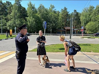 В Одинцово сотрудники полиции призвали соблюдать Правила выгула домашних животных