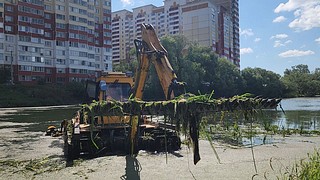 Очистка пруда в селе Юдино завершится до конца лета