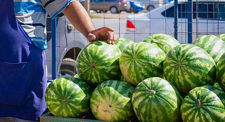 Жителей Одинцовского округа проинформировали об «арбузных» автобусных маршрутах