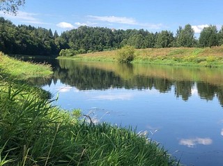 Опубликовано Постановление Губернатора Московской области «Об охранной зоне памятника природы областного значения «Мозжинский овраг». Особо охраняемая природная территория находится в Одинцовском городском округе, к западу от поселка Мозжинка
