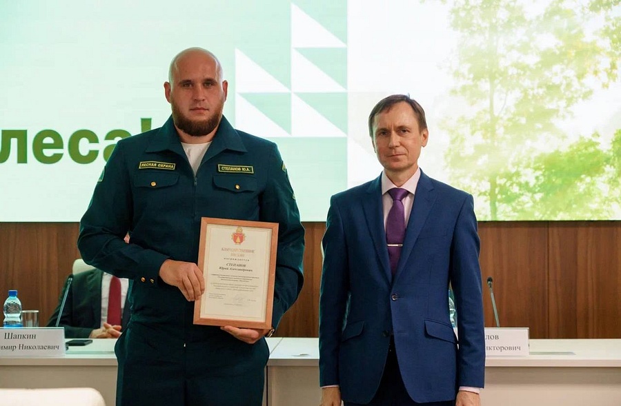 Почетной грамотой и благодарственными письмами были отмечены три сотрудника Звенигородского лесничества