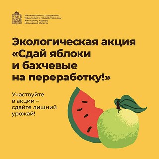 В Одинцовском округе стартует акция по сбору избыточного урожая яблок и бахчевых культур