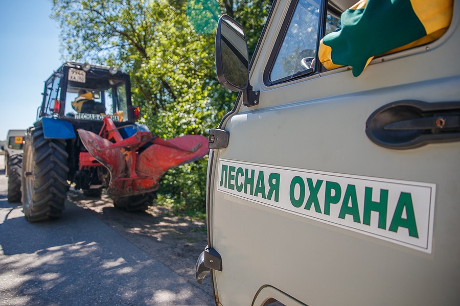 В Московской области с 22 сентября по 1 октября установлен высокий (IV-V) класс пожарной опасности, Сентябрь