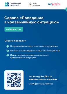 Цифровой сервис «Чрезвычайная ситуация» стал доступен для жителей Звенигорода