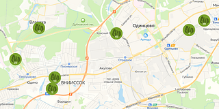 Жители Одинцовского округа смогут присоединиться к акции «День в лесу. Сохраним лес вместе»