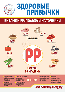 Жителей Одинцовского округа проинформировали о правилах здорового питания