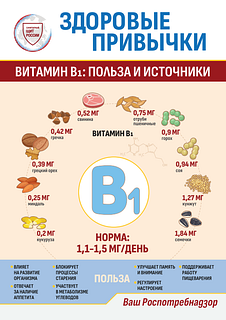 Жителей Одинцовского округа проинформировали о правилах здорового питания