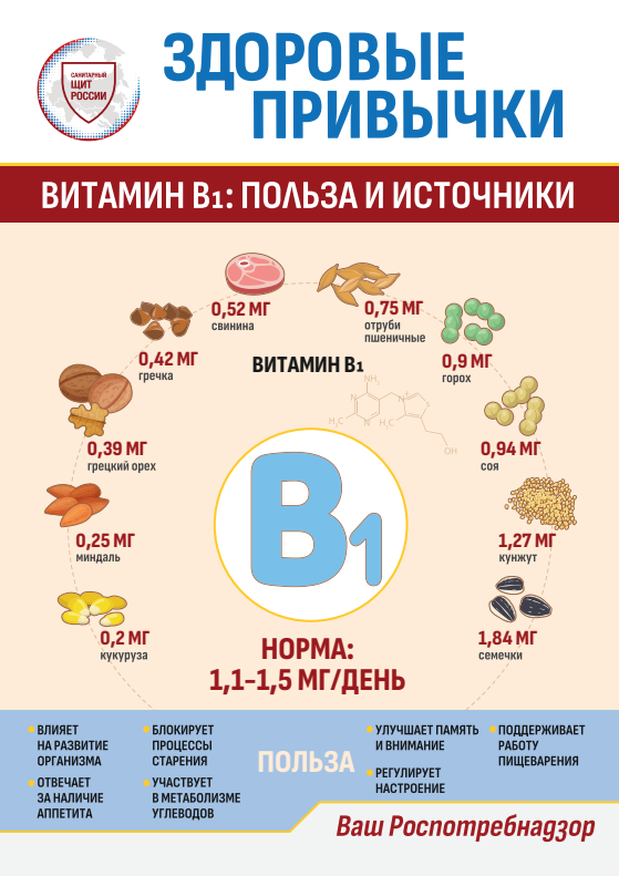 4Жителей Одинцовского округа проинформировали о правилах здорового питания