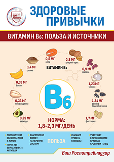 Жителей Одинцовского округа проинформировали о правилах здорового питания