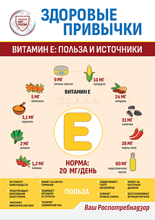 Жителей Одинцовского округа проинформировали о правилах здорового питания