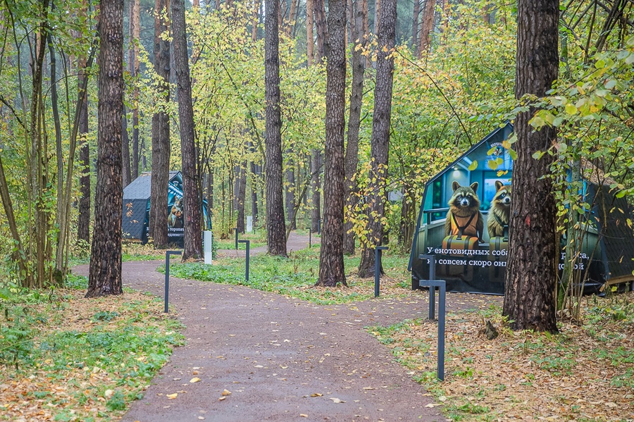 В одинцовском парке «Раздолье» 5 октября открылось уникальное пространство — «Зоотеррий», Продолжается развитие уникального экопространства «Зоотеррий» в парке Раздолье