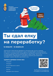 С 15 января жители Одинцовского округа смогут сдать на переработку новогодние ели