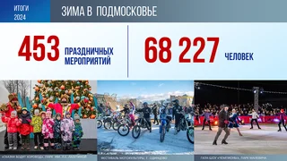 Зима в Подмосковье 2024