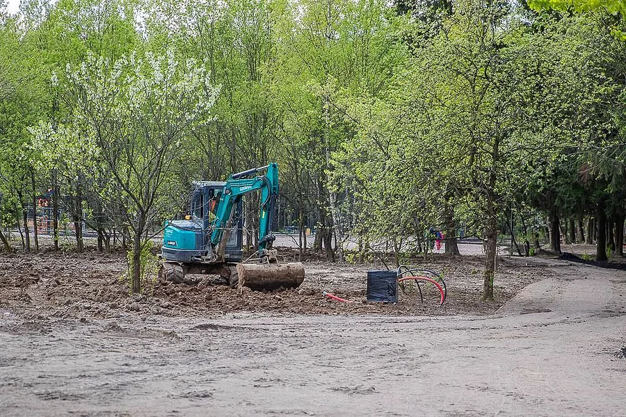 Андрей Иванов проинспектировал прилегающую к парку Супонево территорию