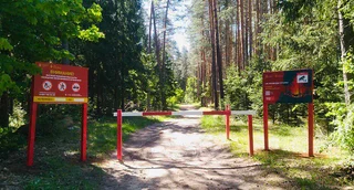 В Подмосковье ограничили посещение лесов из-за высокой пожароопасности