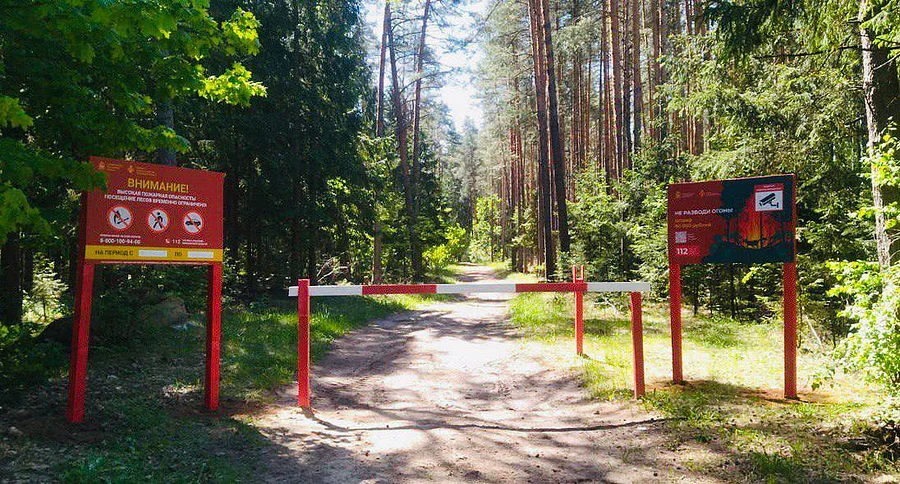 В Подмосковье ограничили посещение лесов из-за высокой пожароопасности