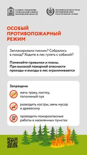 На территории Московской области продолжает действовать особый противопожарный режим