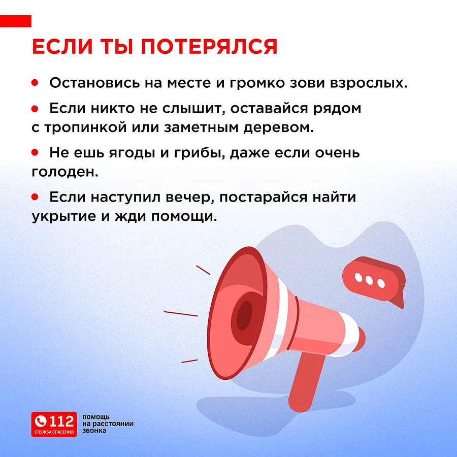 ЕДДС предупреждает о правилах безопасности при прогулках в лесу