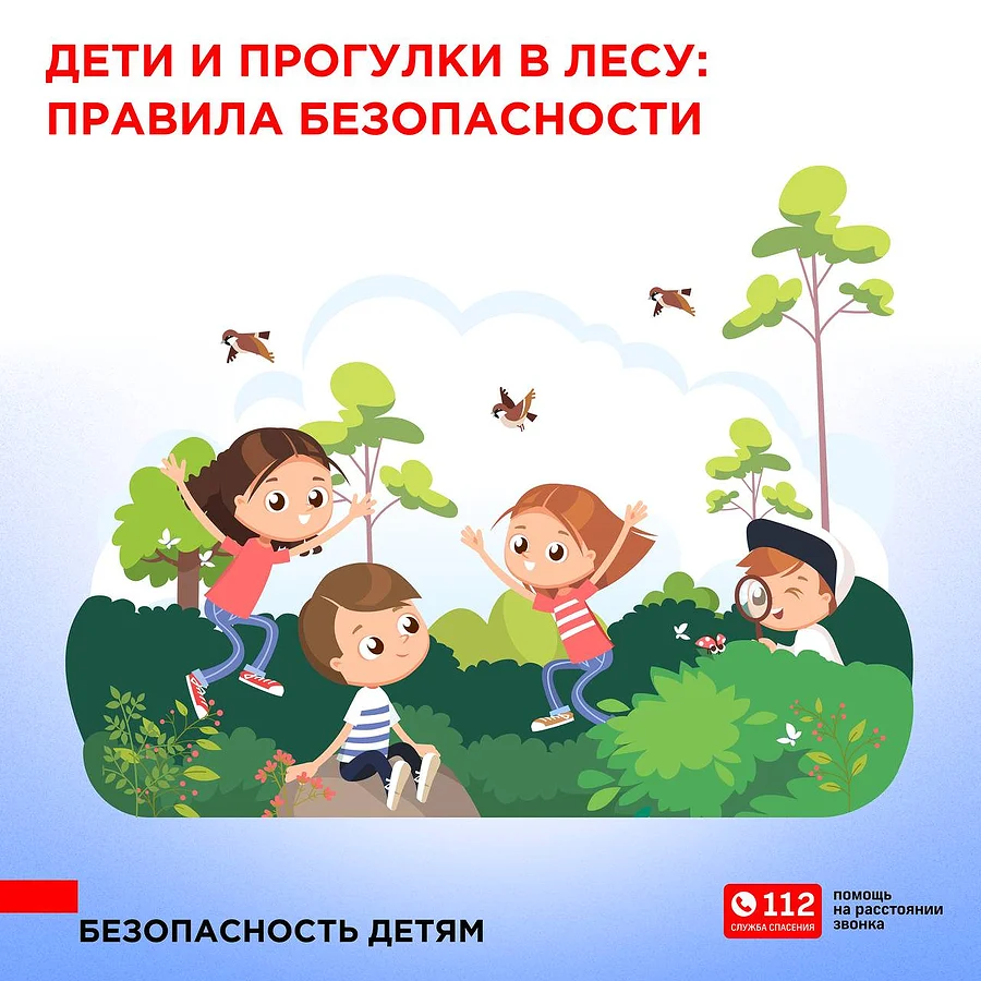 ЕДДС предупреждает о правилах безопасности при прогулках в лесу