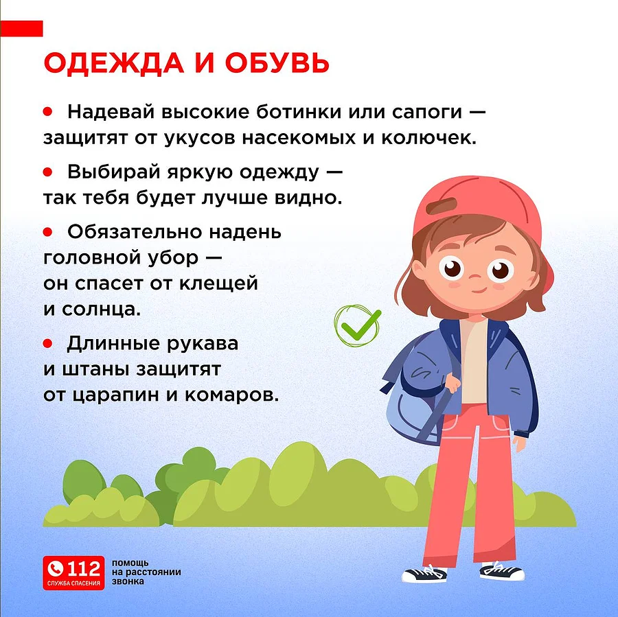 ЕДДС предупреждает о правилах безопасности при прогулках в лесу