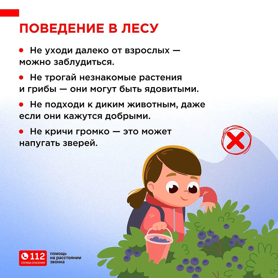 ЕДДС предупреждает о правилах безопасности при прогулках в лесу