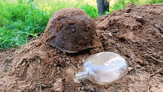 Одинцовские поисковики обнаружили неизвестное захоронение солдат Красной Армии