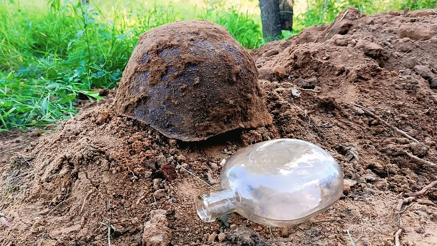 Поиск текст 3, Одинцовские поисковики обнаружили неизвестное захоронение солдат Красной Армии