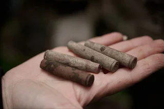 В Одинцовском округе поисковики отправились в поход, приуроченный ко Дню партизан и подпольщиков