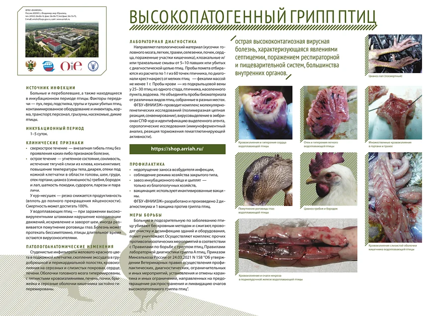 ВПГ текст, Июль